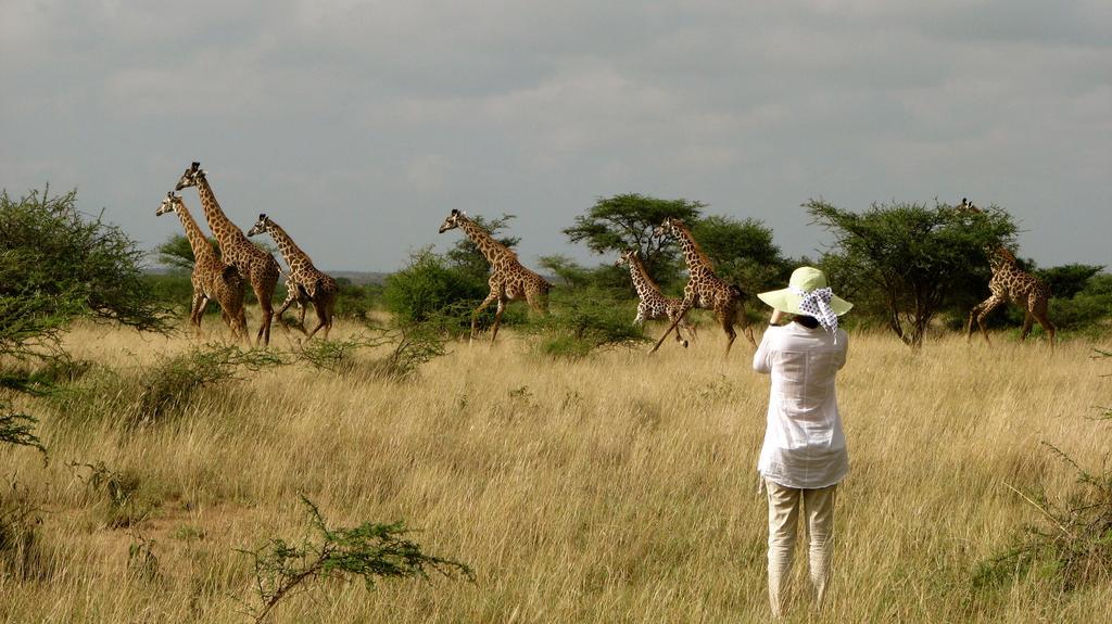 Maasai Simba Camp 호텔 암보셀리 외부 사진